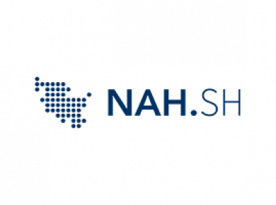 Nahsh Mediaagentur